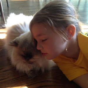 addison_family