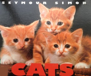cat book