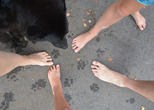 winston footprint